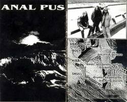 Anal Pus : Exhumation of Anal Pus Excretor